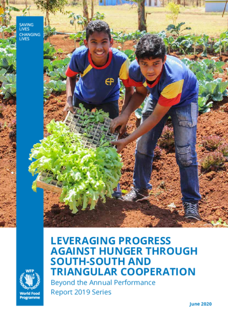 Beyond the Annual Performance Report Series | World Food Programme