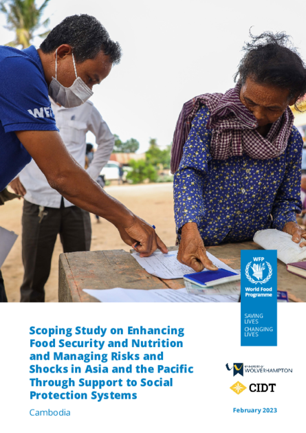 Scoping Study on Enhancing Food Security and Nutrition and Managing ...