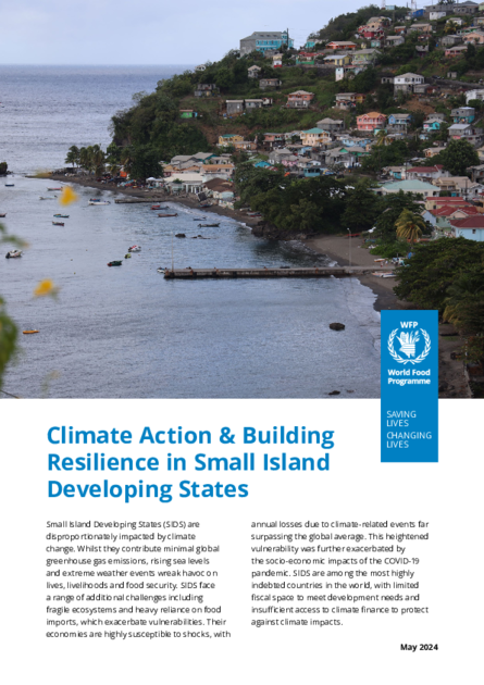 Climate Action & Building Resilience in Small Island Developing States ...