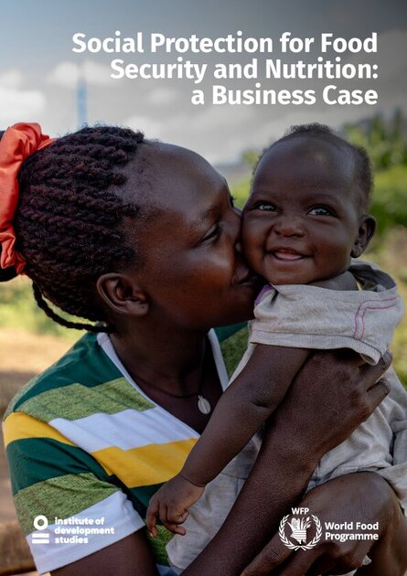 Social Protection for Food Security and Nutrition: a Business Case