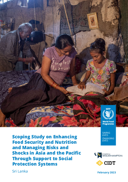 Scoping Study on Enhancing Food Security and Nutrition and Managing ...