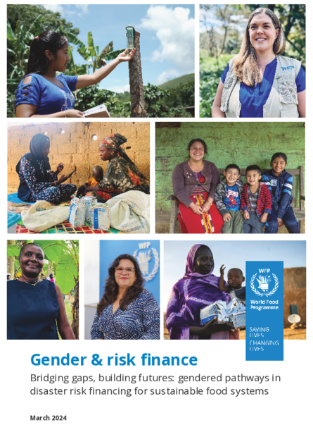 Identifying Gender Risk Gender & risk finance: Bridging gaps, building futures: gendered ...