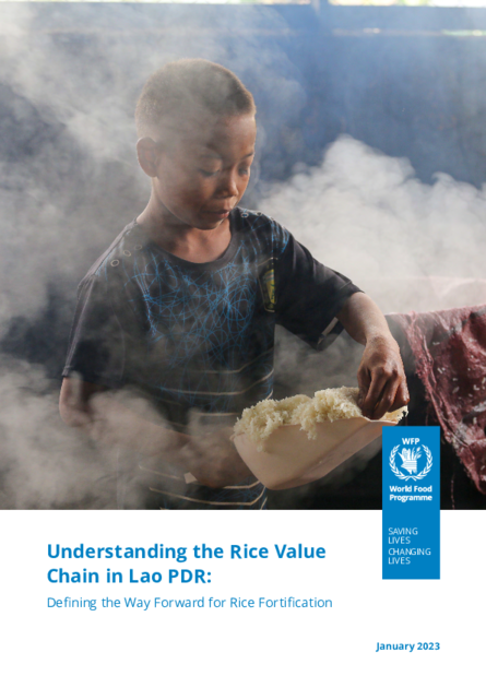 2023 - Understanding the Rice Value Chain in Lao PDR: Defining the Way ...