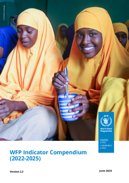 WFP Indicator Compendium 2022-2025 – (June 2024)