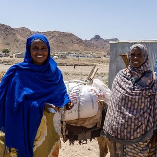 Two women carrying food with a donkey