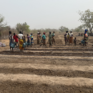 Preparing the vegetable plots in the community garden in Tanguiéta