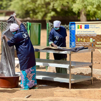Women turning harvests into value-added products to strengthen local food systems