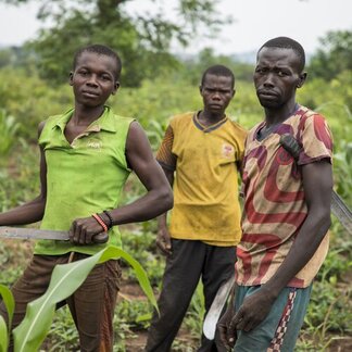 Three people stand in a green field holding machetes, surrounded by vegetation and trees.