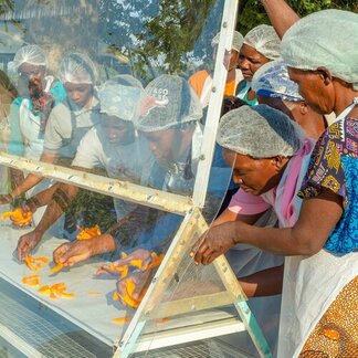Rural women in Zambezi region sorting and drying sliced butternut using a solar drier. ©WFP/Likando Arthur