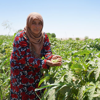 Irrigation projects supported by WFP help farmers produce food for their families and contribute to strengthening food security across Syria. Photo: WFP/Jessica Lawson