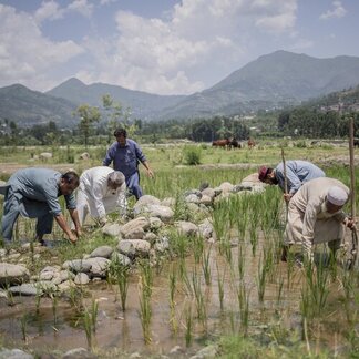 Men working in a field