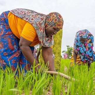 Two women are working in a field