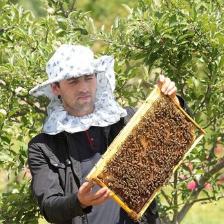 a beekeeper