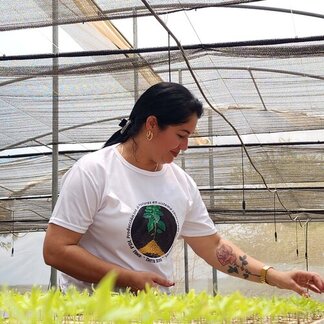 A person wearing a white shirt tends to rows of green seedlings inside a shaded greenhouse structure with netting overhead.