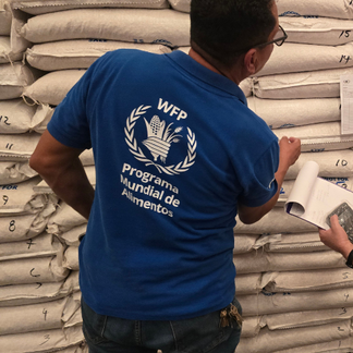 WFP staff member in a blue WFP shirt checks and records information in front of stacked bags of food assistance.