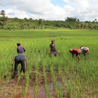 Sierra Leone | World Food Programme