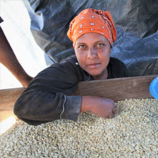 Person wearing an orange headscarf handling a large pile of harvested beans on a wooden surface.