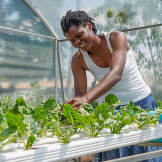 Improved resilience, food and nutrition security of drought-affected ...