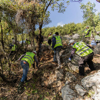 People are cleaning forest to reduce the risk of wildfire