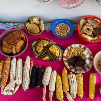 Diversity of native maize and foods.
