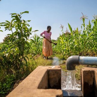 A woman in the background working in her wheat field, with a close-up of a large tap form an irrigation system.