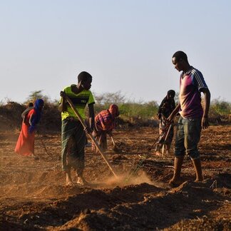 Farmers preparing farmland as part of anticipatory action against climate shocks.