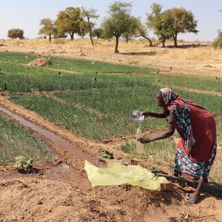 A woman draws water from an irrigation trench fed by a solar-powered pump in Barde.