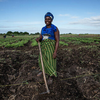 a beneficiary, prepares the soil and sows the seeds of feijão-nhemba, Caia district, Sofala province
