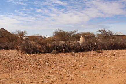 WFP Scales Up Assistance as Drought Grips the Horn of Africa (For The Media)