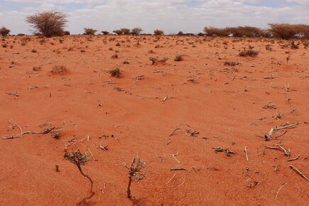 WFP Assistance In Somalia Reaches Unprecedented Levels In Race Against Time To Avert Projected Famine (For The Media)