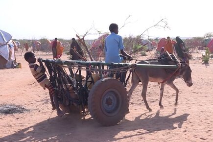 WFP Working to Avert Famine in Somalia as Effects of Drought Intensify (For the Media)