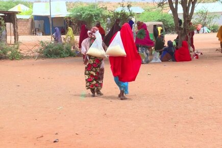 Somalia, Averting Famine