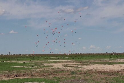 South Sudan Is Facing The Worst Levels Of Food Insecurity Since Independence (For the Media)