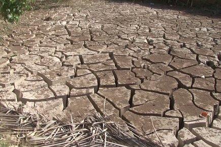 El Niño, Drought Blamed as Severe Food Insecurity Doubles in 6 Months in Haiti (For the Media)