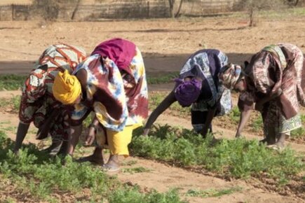 Families In Senegal Learn To Live With A Changing Climate