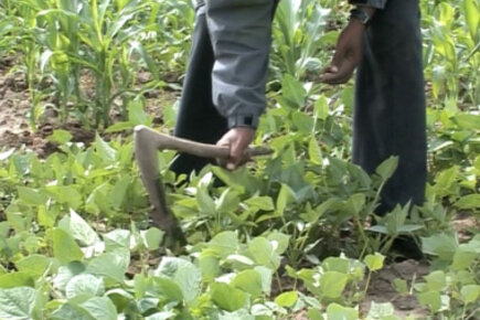 Ethiopian farmer says things looking up with P4P