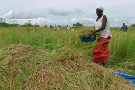 Purchase For Progress In Uganda