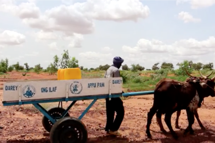 Food Assistance For Assets Building Resilience Against Shocks In Niger