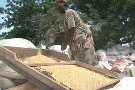 How West African Food Helped Region Overcome Hunger Crisis