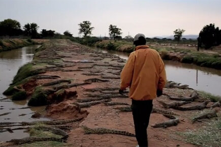 Nutritious Food Helps Crocodile Man Rebound From HIV