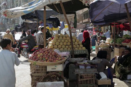 Food Security And Nutritional Status In Egypt (For The Media)