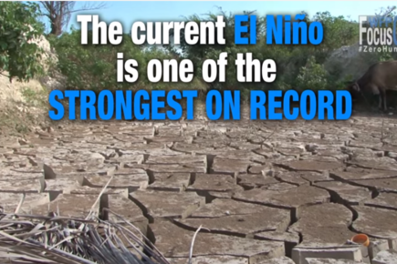 Focus On Zero Hunger: El Niño 2016