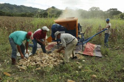 Rio+20: Connecting farmers and markets in Central America