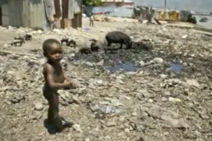 Help Haiti