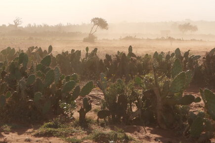 WFP News Video: Fears of Climate Induced Famine in Madagascar as World Leaders Meet at COP Climate Summit (For the Media)