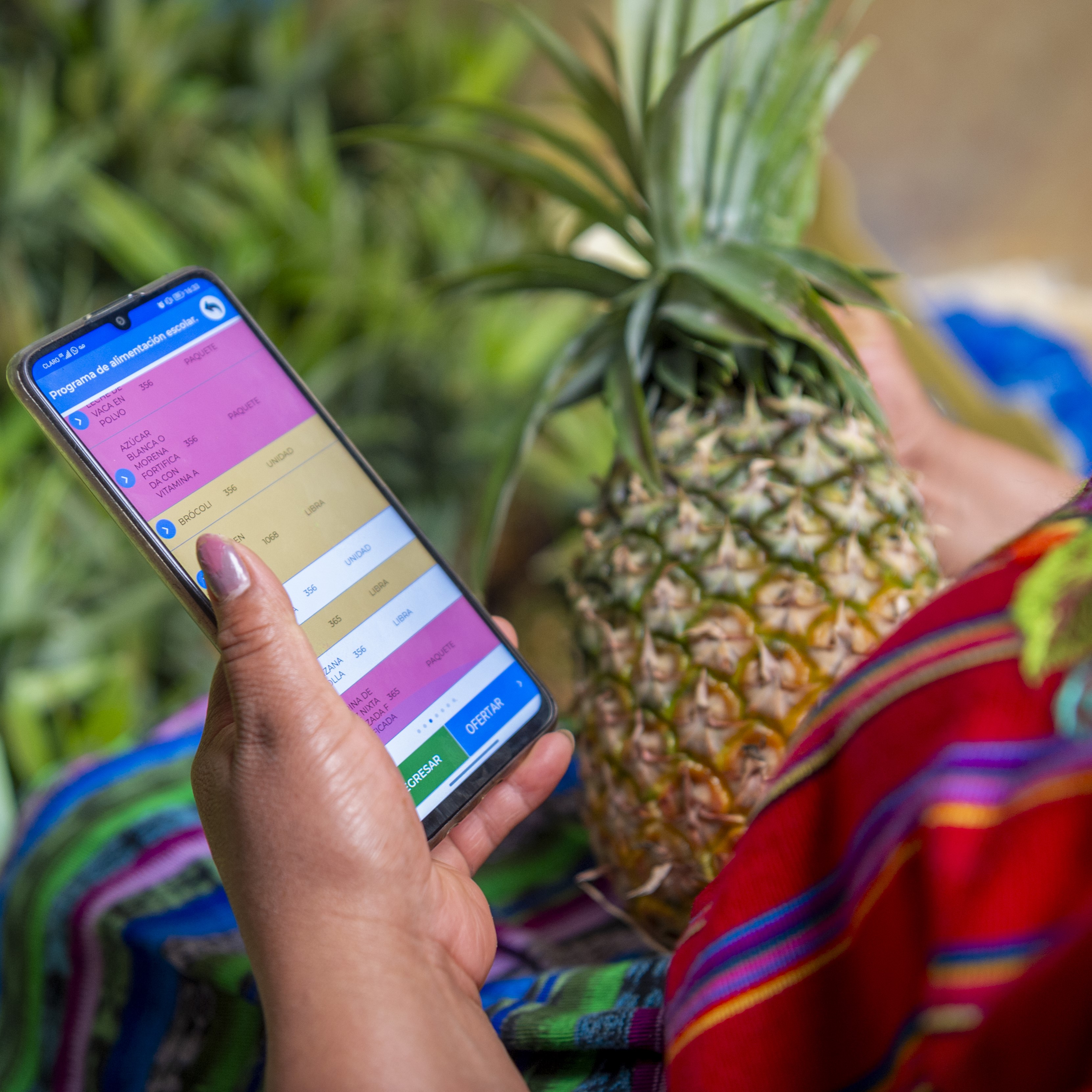 Heydi, a smallholder farmer from the Chimaltenango Department, Guatemala, uses the “WFP School Feeding Management App” (SFMA) to secure and fill orders from local schools.