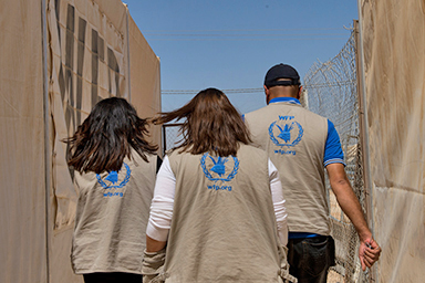 WFP interns