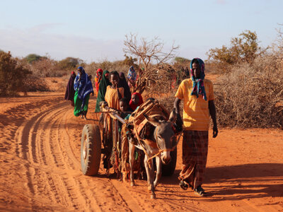 WFP/Petroc Wilton Internally displaced people arrive at Kaharey camp, Dolow, Somalia.