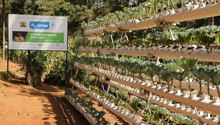In Kibera, Kenya, WFP has implemented Hydroponic Farming at Olympic Primary School, with great participation of students and the local community. WFP/Martin Karimi